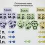 Набор магнитных карточек "Склонение имен существительных" (Арт. 2051)