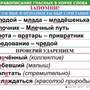 Правописание гласных в корне слова  (1-4 кл), Комплект таблиц, 5 таблиц, размером 50х70 см;  32 разд