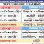 Правописание гласных в корне слова  (1-4 кл), Комплект таблиц, 5 таблиц, размером 50х70 см;  32 разд