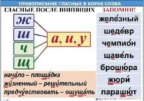 Правописание гласных в корне слова  (1-4 кл), Комплект таблиц, 5 таблиц, размером 50х70 см;  32 разд