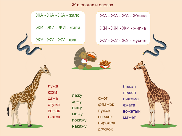 ЛогоАльбом