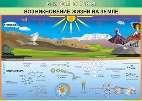 Таблица Возникновение жизни на земле  (винил)