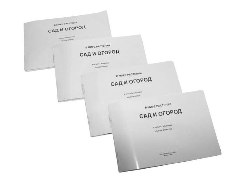 Пособие Для Слабовидящих - В Мире Растений :Сад И Огород