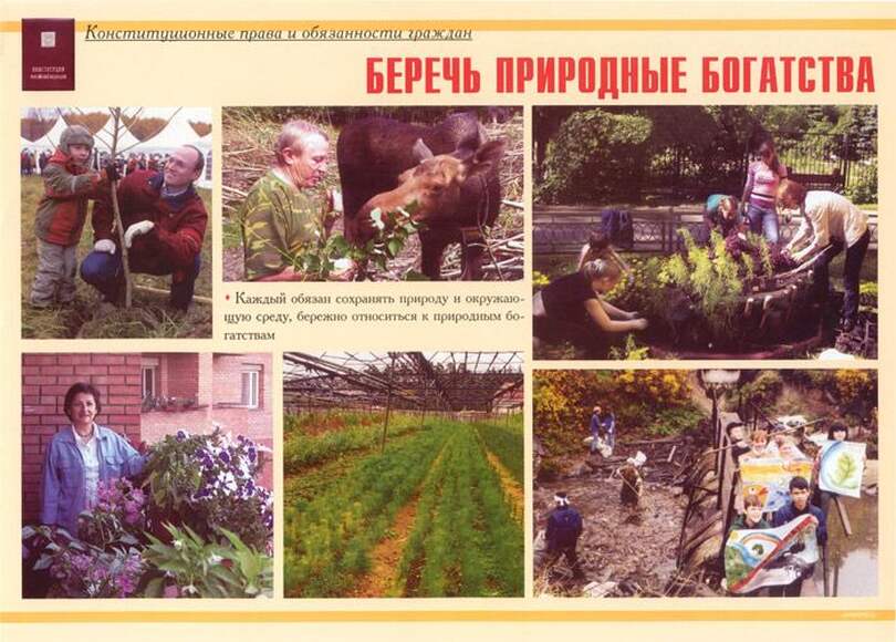 Конституционные права и обязанности граждан – 11 плакатов. Формат А-3.