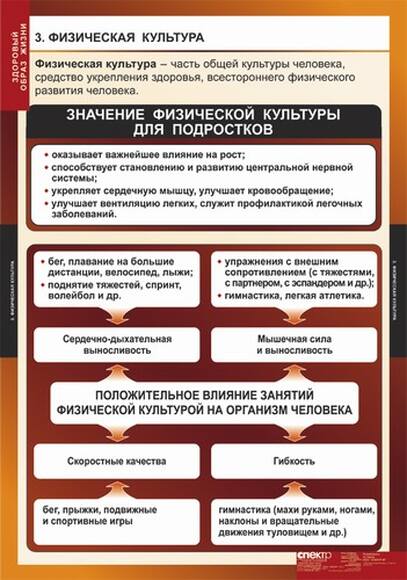 Таблицы Здоровый образ жизни 8 шт