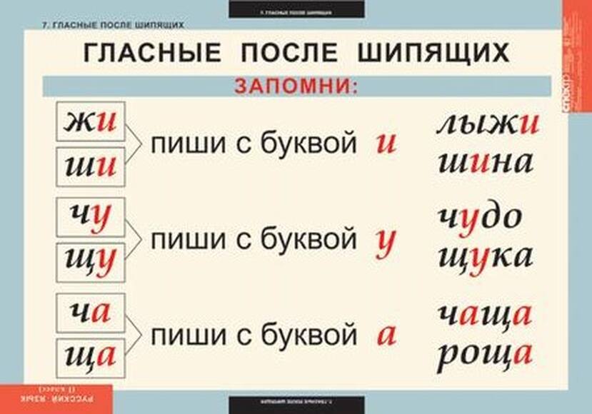 Таблицы Русский язык 1 класс 10 таблиц