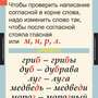Таблицы Русский язык 1 класс 10 таблиц