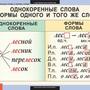 Таблицы Русский язык 2 класс 8 таблицы