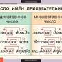 Таблицы Русский язык 3 класс 10 таблиц