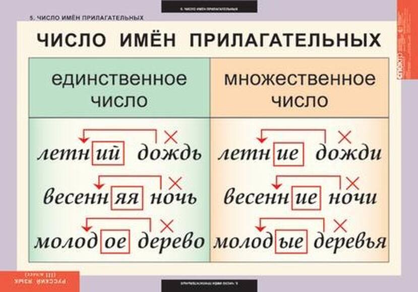 Таблицы Русский язык 3 класс 10 таблиц