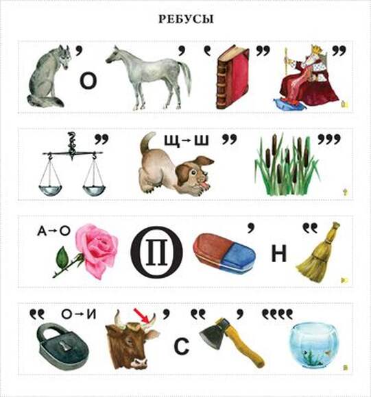 Грибы  (10 шт), комплект кодотранспарантов (фолий, прозрачных пленок)