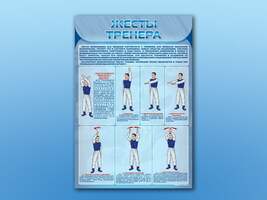 Стенд "Жесты тренера"