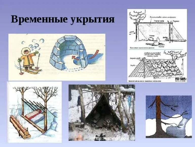 ОБЖ: Правила поведения при вынужденном автономном существовании человека в природе