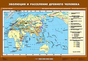 Карта Эволюция и расселение древнего человека 70х100