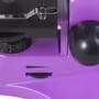 Микроскоп Levenhuk Rainbow 50L PLUS Amethyst\Аметист