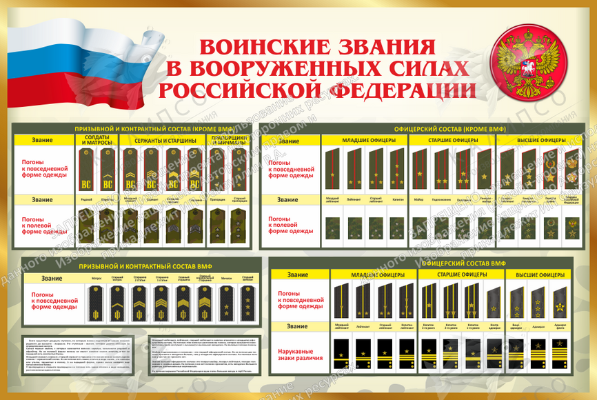 Стенд "Воинские звания в вооруженных силах Российской Федерации" (1,05х0,7 м, Эконом)