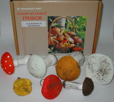 2.12.13. Муляжи съедобных и ядовитых грибов (838-Приказ)