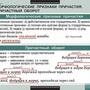 Таблицы Русский язык. Морфология 15 шт