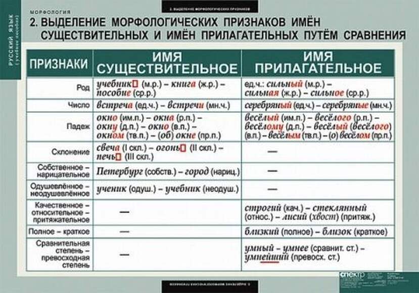 Таблицы Русский язык. Морфология 15 шт