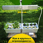 1.17.Т3 Комплект лабораторного оборудования для выращивания растений / Генетика и селекция растений