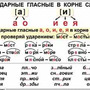 Русский язык 2 класс  (1-4 кл), Комплект таблиц, 13 таблиц,  размером 50х70 см