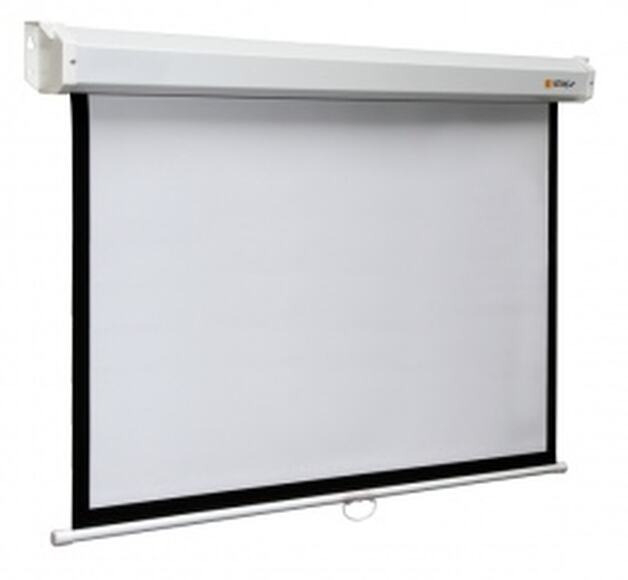 Экран настенный Digis DSSM-1107 (Space, формат 1:1, 150", 280*280, MW)