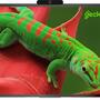 Интерактивная панель Geckotouch Interactive 65R