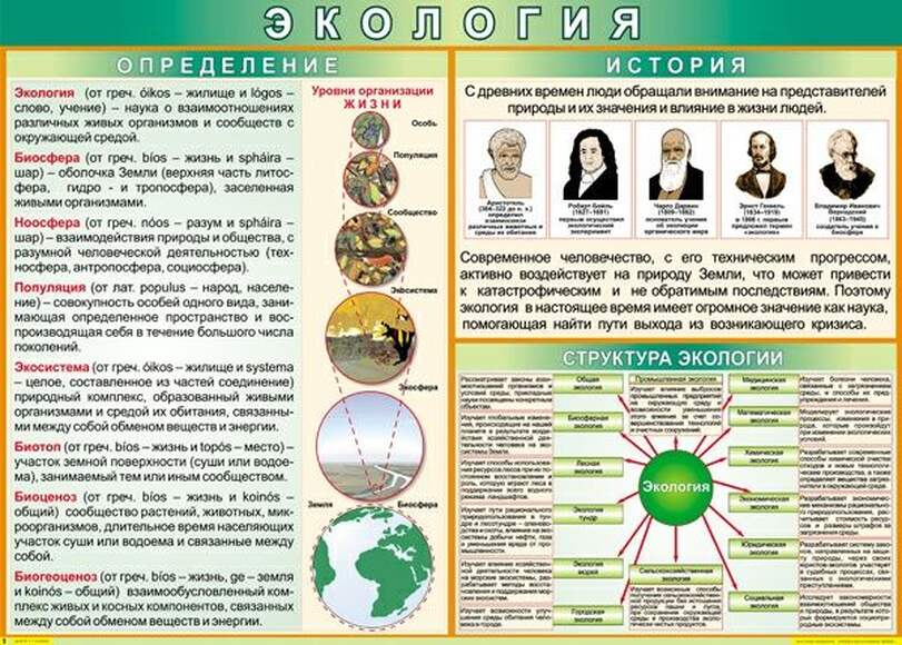 Таблица Определения и история (винил)
