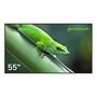 Профессиональный дисплей Geckotouch 55DCR