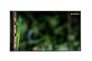 Профессиональный дисплей Geckotouch 55DCR