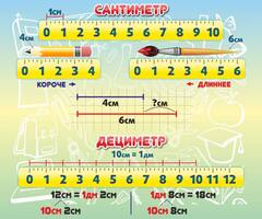 Стенд Сантиметр, 0,6x0,5 м, без карманов