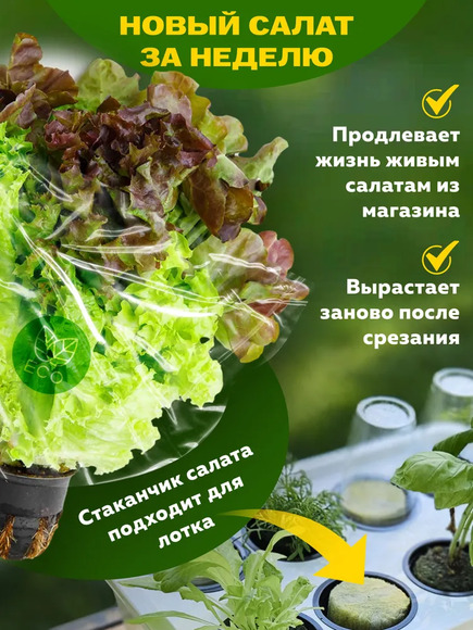 1.20.Т6 Комплект оборудования «Типы почв и рост растений» / Генетика и селекция растений