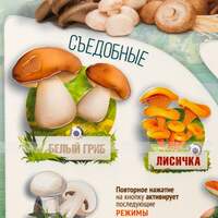Стенд обучающий, тактильно-звуковой «Грибы», 440x640 мм
