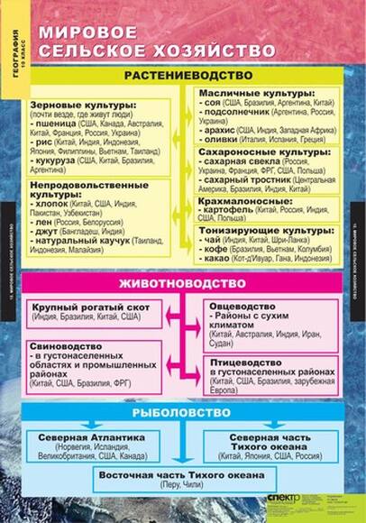 Комплект таблиц. Экономическая и социальная география мира. 10 класс (12 таблиц)