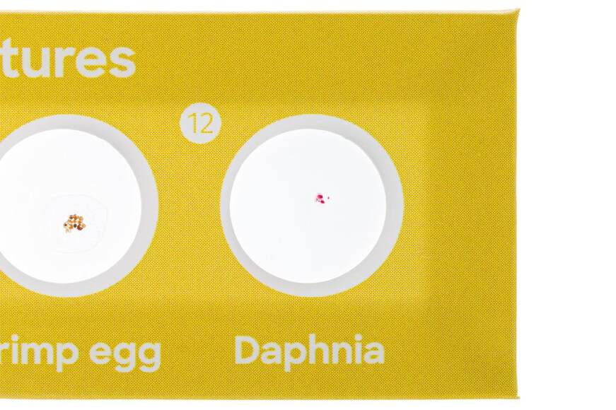 Набор микропрепаратов Discovery «Флора и фауна», 24 шт.