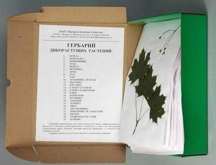 1.5. Комплект гербариев демонстрационных / Генетика и селекция растений. Агроклассы