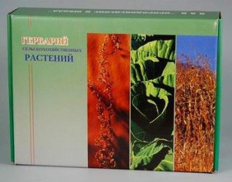 1.5. Комплект гербариев демонстрационных / Генетика и селекция растений. Агроклассы
