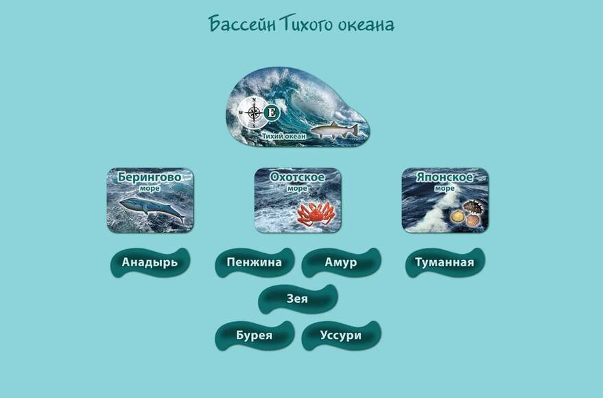 Набор магнитных карточек "Реки и моря" (Арт. 2082)