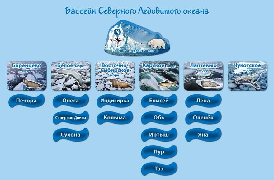 Набор магнитных карточек "Реки и моря" (Арт. 2082)