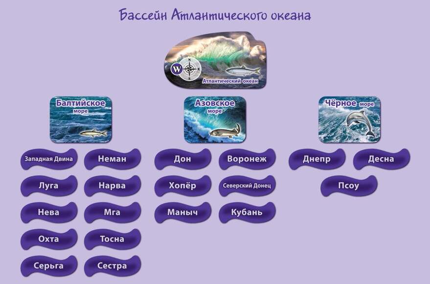 Набор магнитных карточек "Реки и моря" (Арт. 2082)