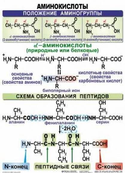 Химия ОРГАНИЧЕСКАЯ  (10-11 кл), Комплект таблиц, 39 таблиц (20 листов),  размером 50х70 см