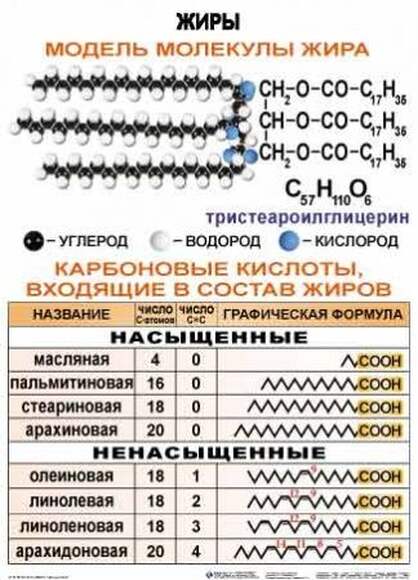 Химия ОРГАНИЧЕСКАЯ  (10-11 кл), Комплект таблиц, 39 таблиц (20 листов),  размером 50х70 см
