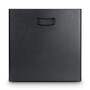 DAVE 8 ROADIE - Портативная мультимедийная звуковая система 2.1 (Сабвуфер 8" + 2 сателлита 4") со вс