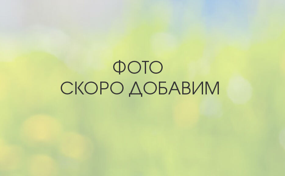 Держатель и фильтр для камеры Moticam