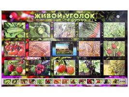 Комплект  оборудования "Живой уголок" (растения) с тифлопереводом и сурдокомментариями