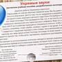 Магнитное развивающее пособие "Упрямые звуки" Звук "Ч"