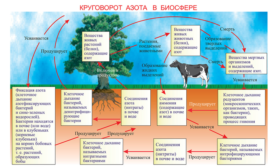 5.2. Электронные образовательные ресурсы / Аквакультура. Агроклассы