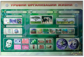 Электрифицированный стенд "Уровни организации жизни"
