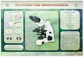 Электрифицированный стенд "Устройство микроскопа и правила работы c ним"