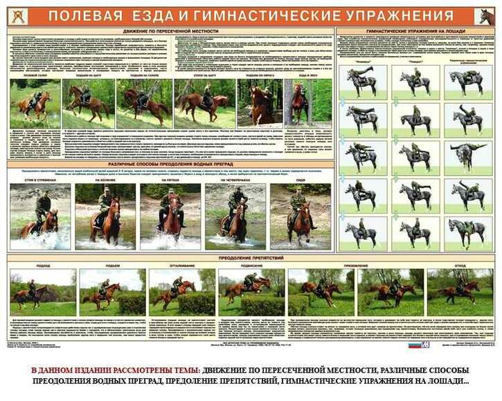 Комплект из 6 плакатов Служебное коневодство, 1000х700 мм  (бумага, 150 гр./кв. м)